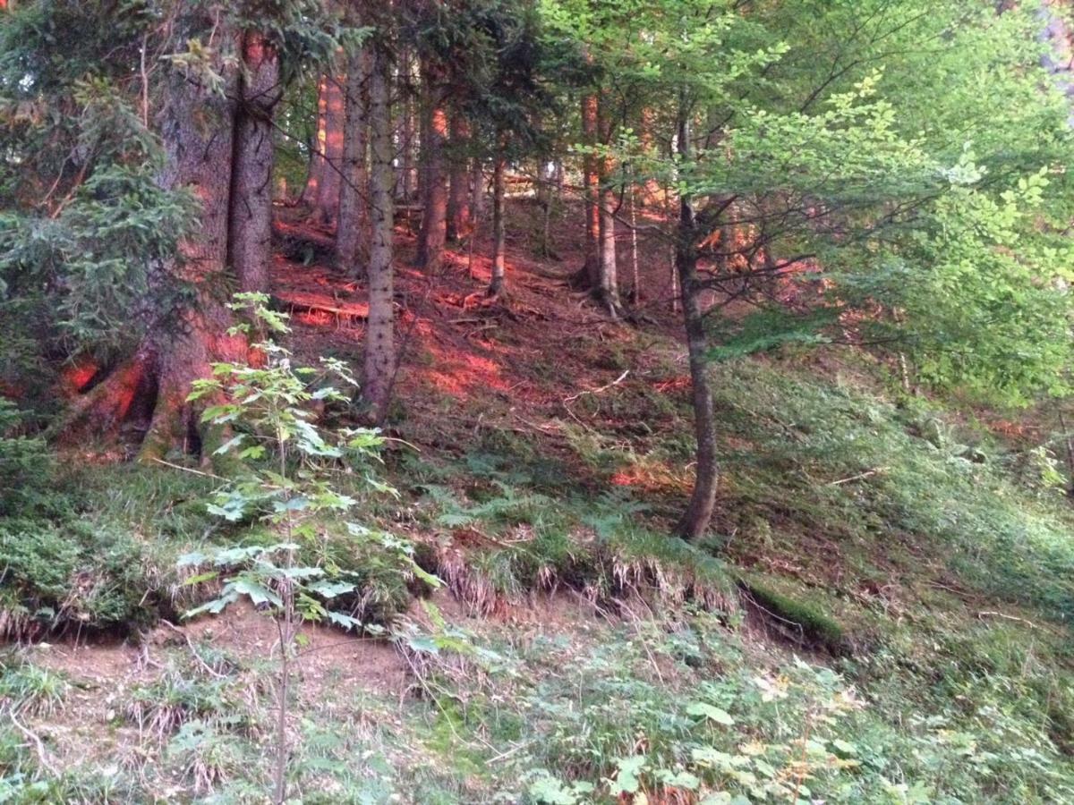 Ferienwohnung Ausblick Missen-Wilhams Buitenkant foto